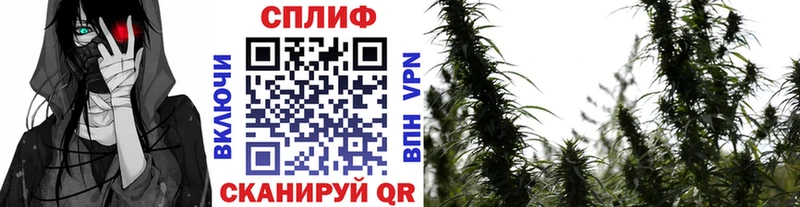 ОМГ ОМГ вход  Верхний Тагил  Бошки марихуана гибрид 